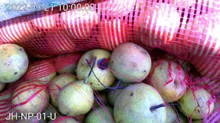 d7609ff820d9bf6d3373d09e105377d